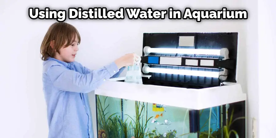 Using Distilled Water in Aquarium