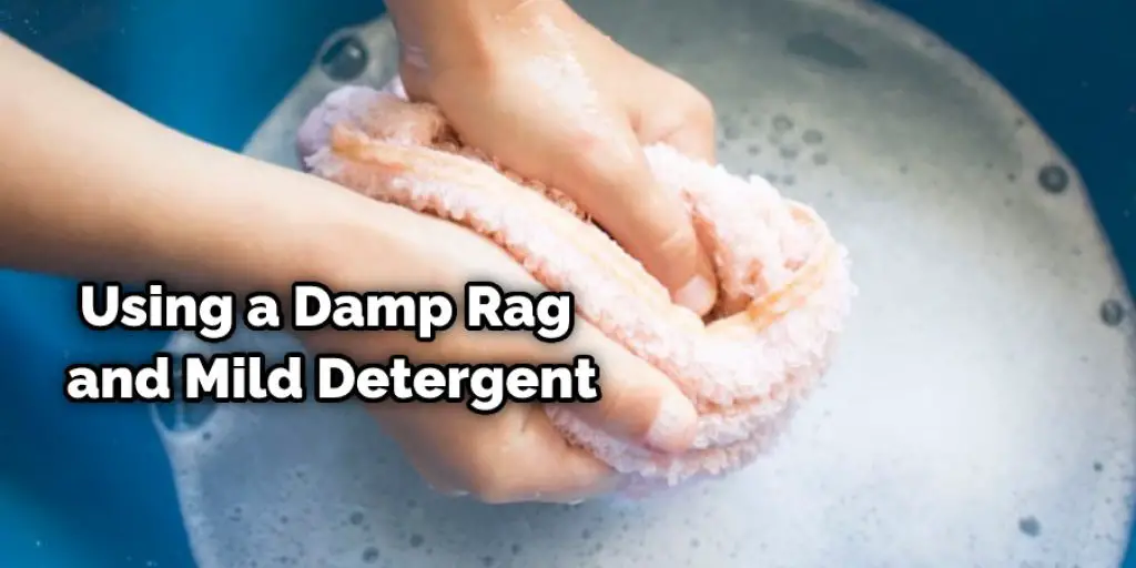Using a Damp Rag and Mild Detergent