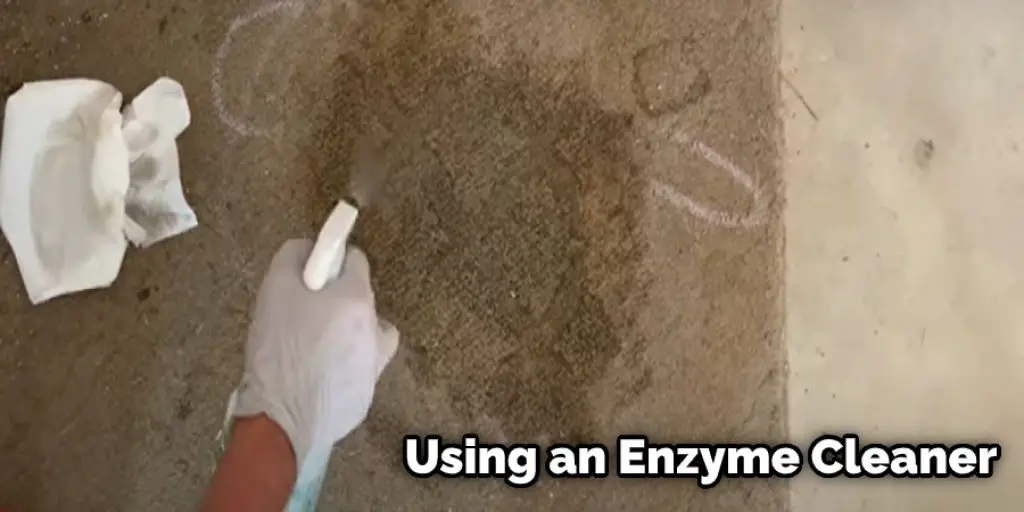 Using an Enzyme Cleaner