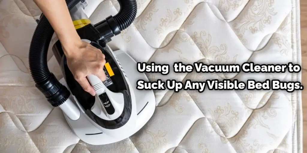 Using  the Vacuum Cleaner to Suck Up Any Visible Bed Bugs.