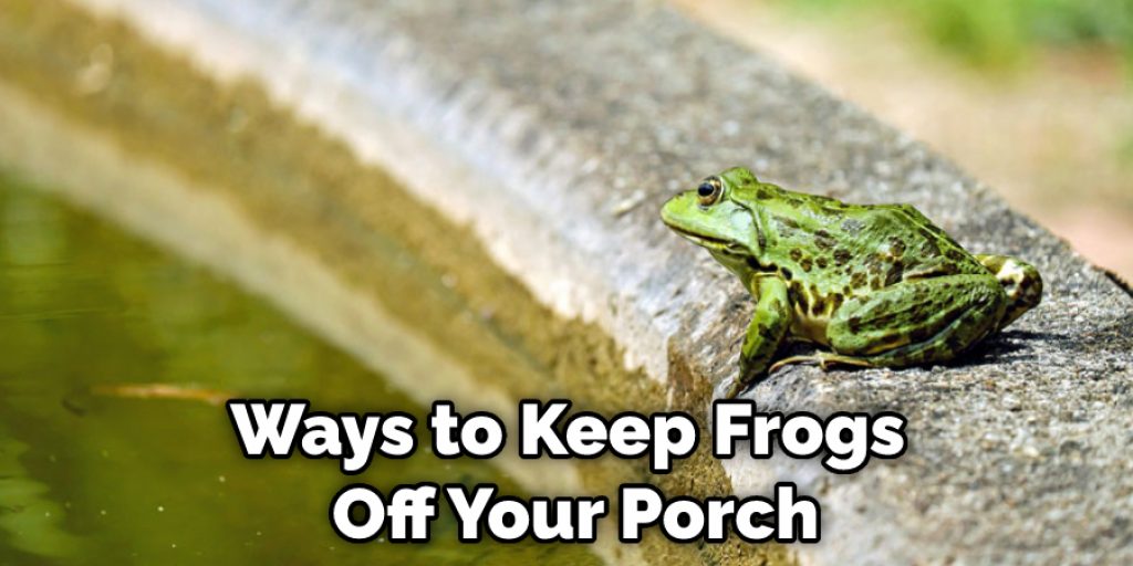 Ways to Keep Frogs Off Your Porch