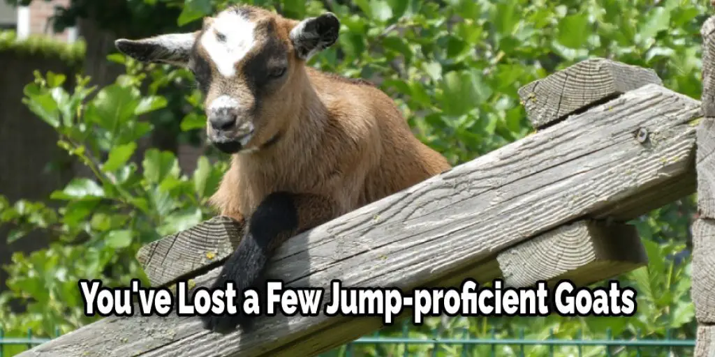 You've Lost a Few Jump-proficient Goats