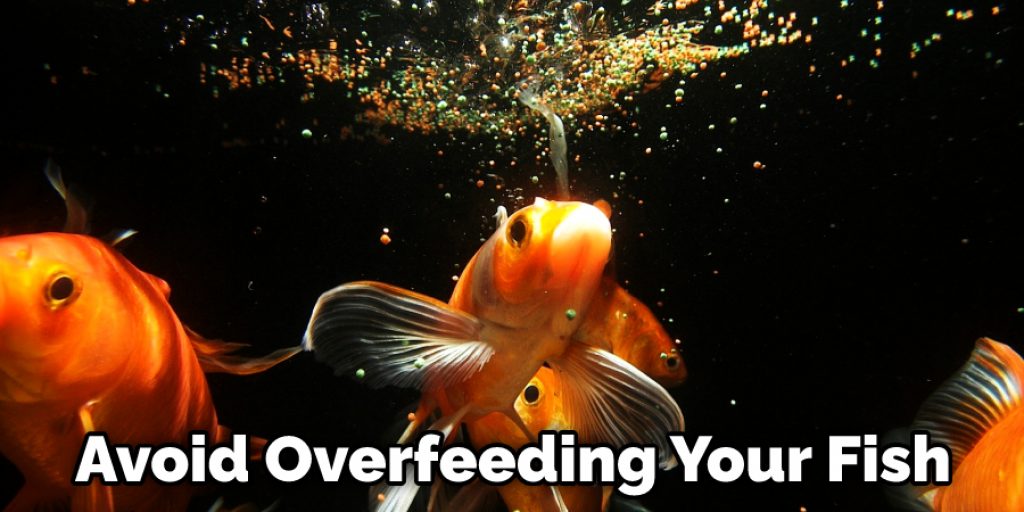 Avoid Overfeeding Your Fish