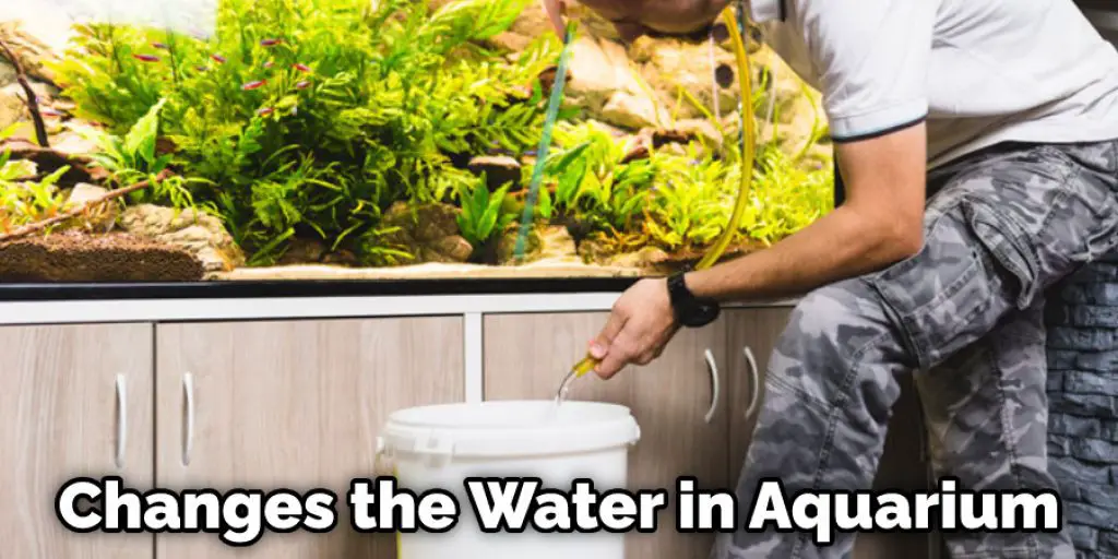 Changes the Water in Aquarium