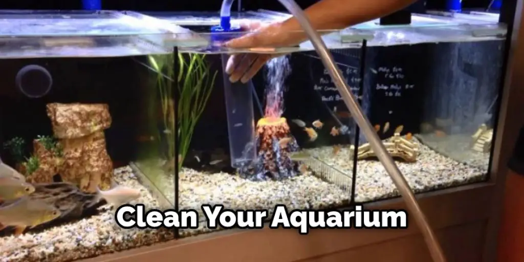 Clean Your Aquarium