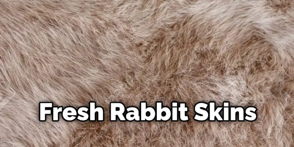 Fresh Rabbit Skins