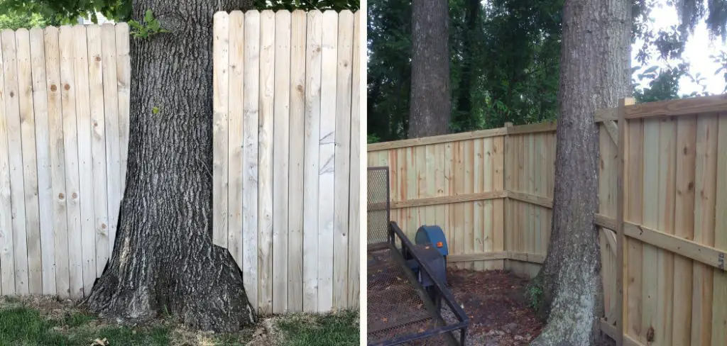 How to Build a Fence Around a Tree