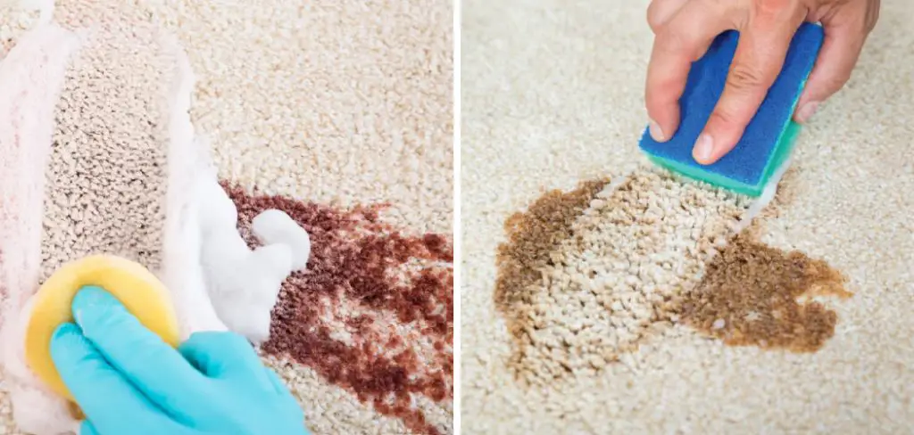 How to Get Egg Dye Out of Carpet