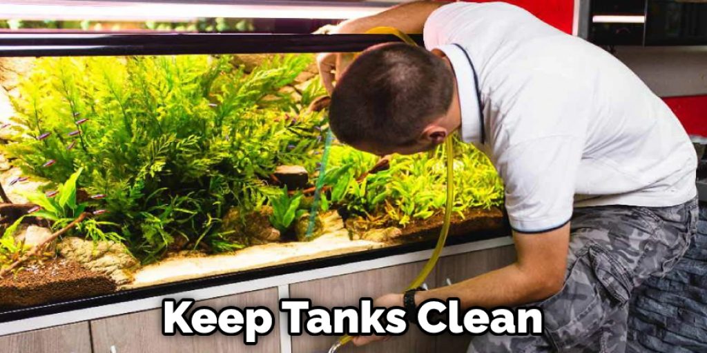 Keep Tanks Clean
