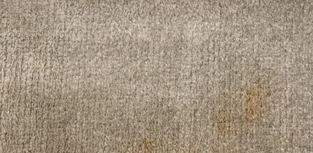 How to Remove Dried Syrup From Carpet