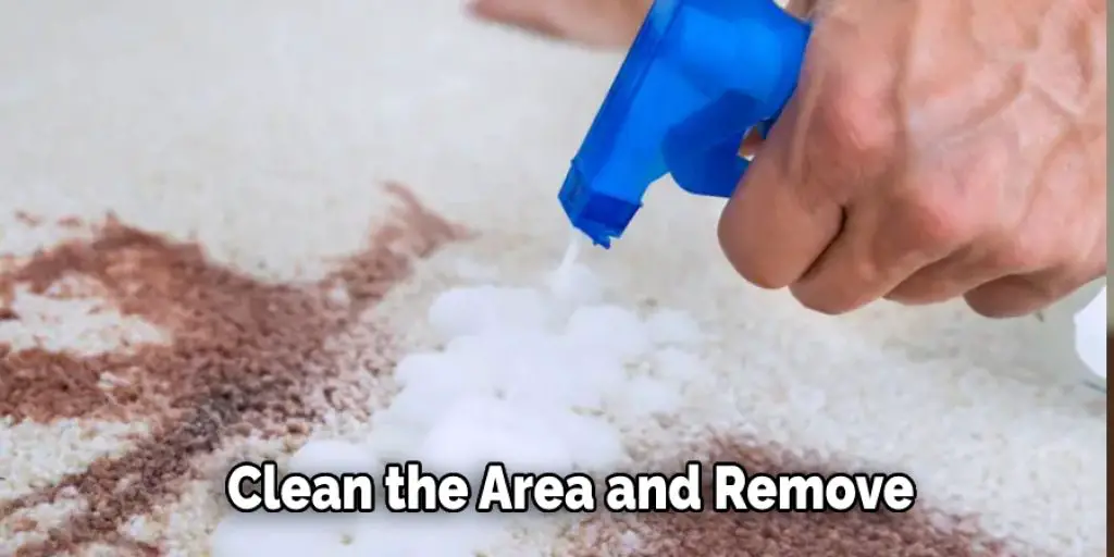 Clean the Area and Remove
