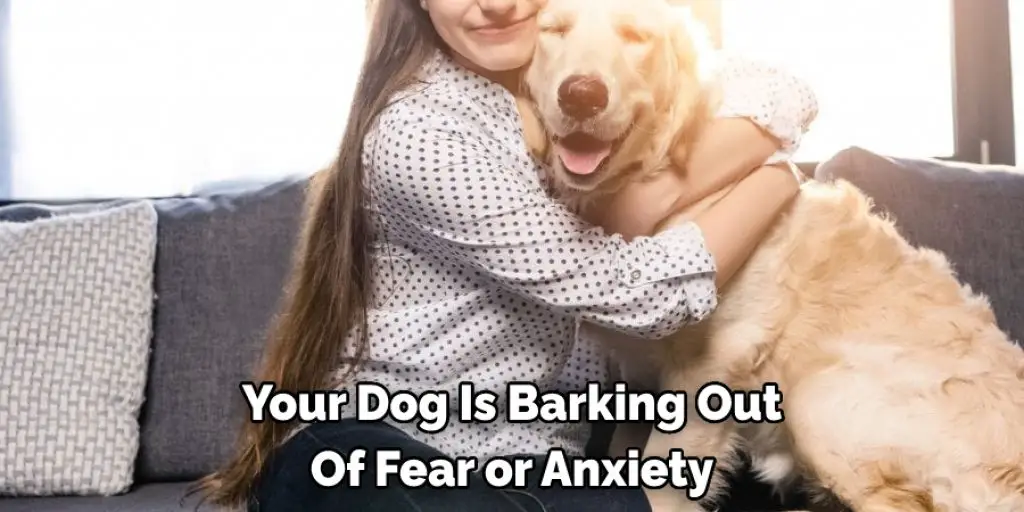 Your Dog Is Barking Out Of Fear or Anxiety