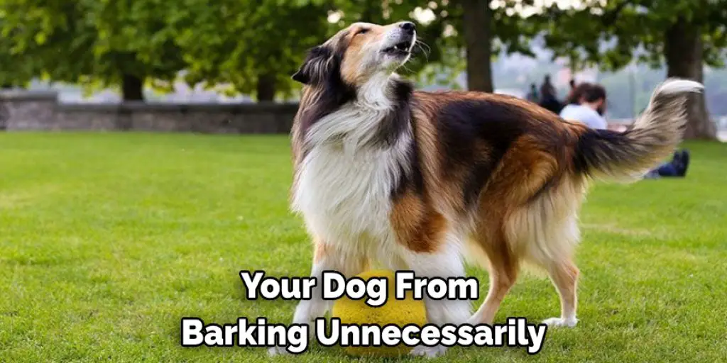 Your Dog From  Barking Unnecessarily