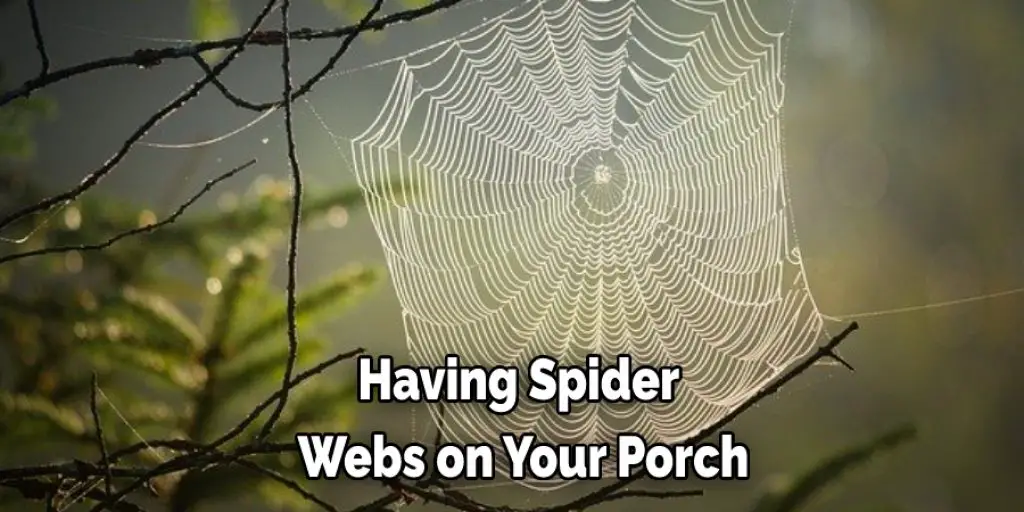 Having Spider  Webs on Your Porch