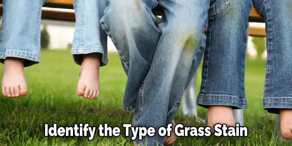 Identify the Type of Grass Stain