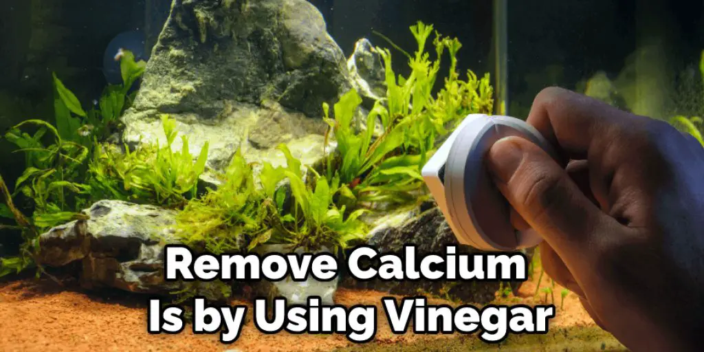 Remove Calcium Is by Using Vinegar
