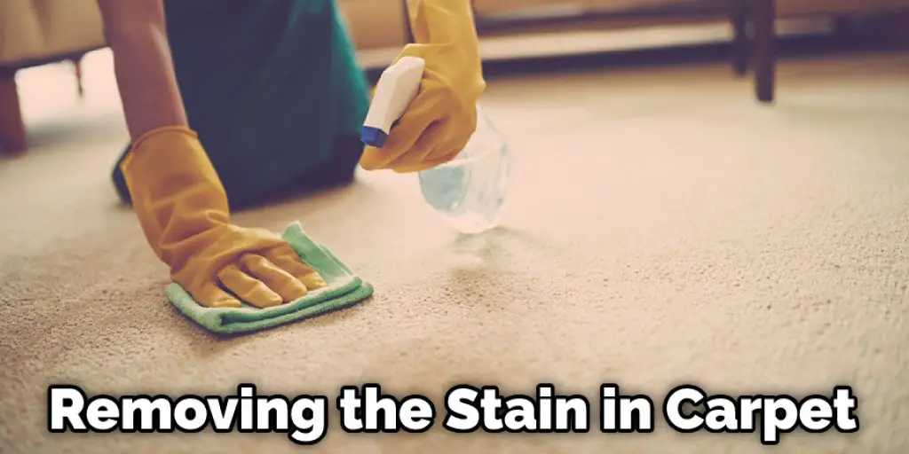 Removing the Stain in Carpet