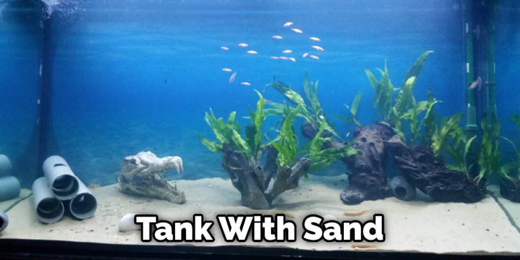 Tank With Sand