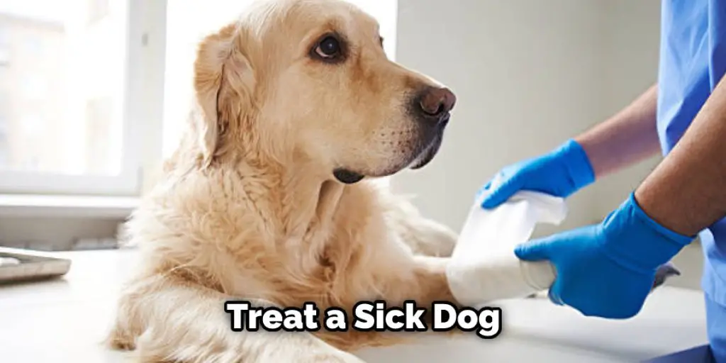 Treat a Sick Dog