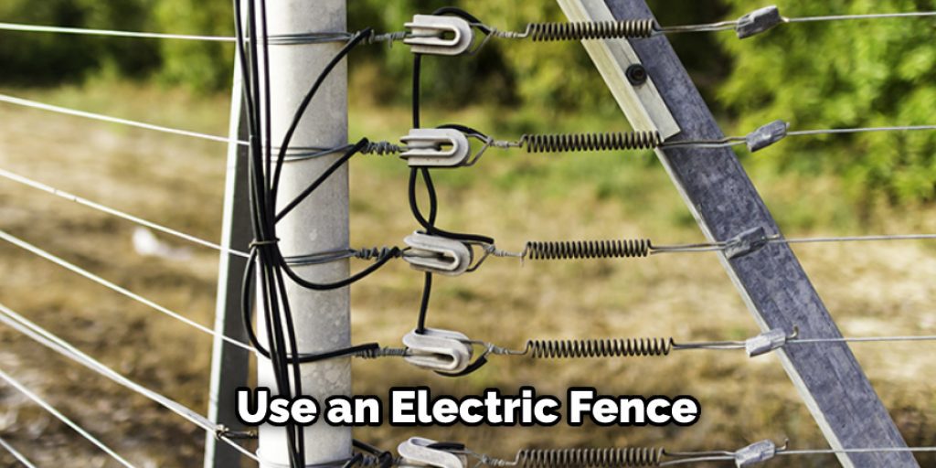 Use an Electric Fence