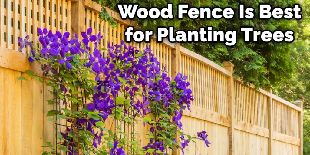 Wood Fence Is Best for Planting Trees on Your Property