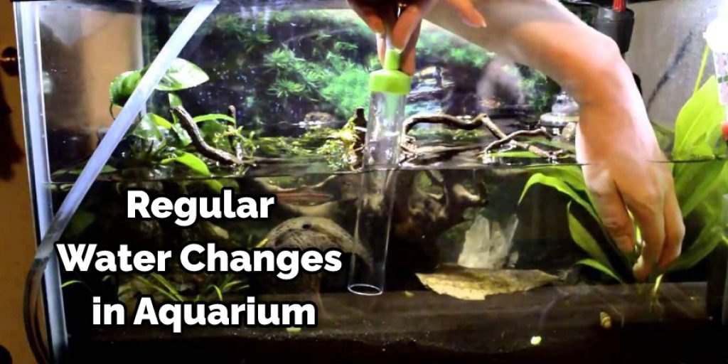 Regular Water Changes in Aquarium
