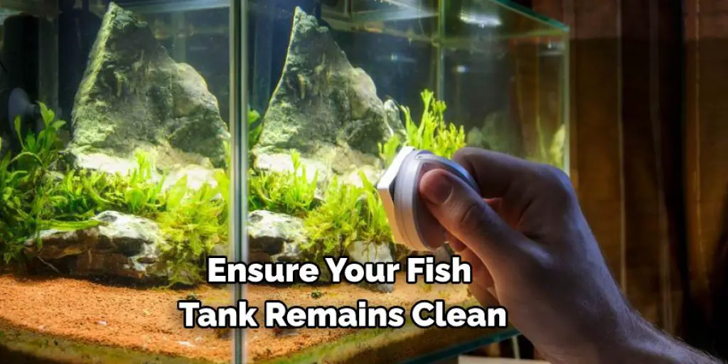 Ensure Your Fish Tank Remains Clean