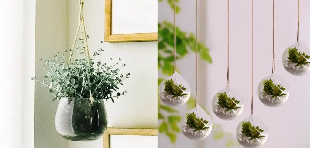 How to Hang Plants From Ceiling Without Drilling