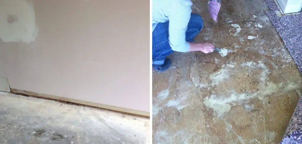 How to Remove Urine From Drywall