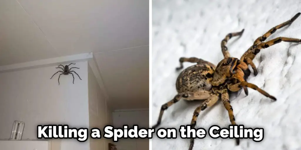 Killing a Spider on the Ceiling