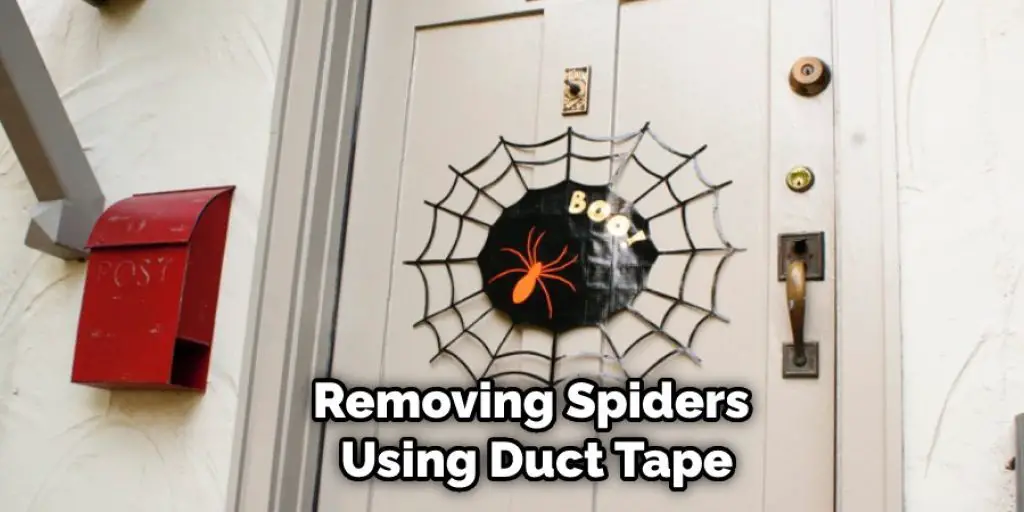 Removing Spiders Using Duct Tape