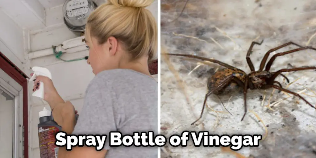 Spray Bottle of Vinegar