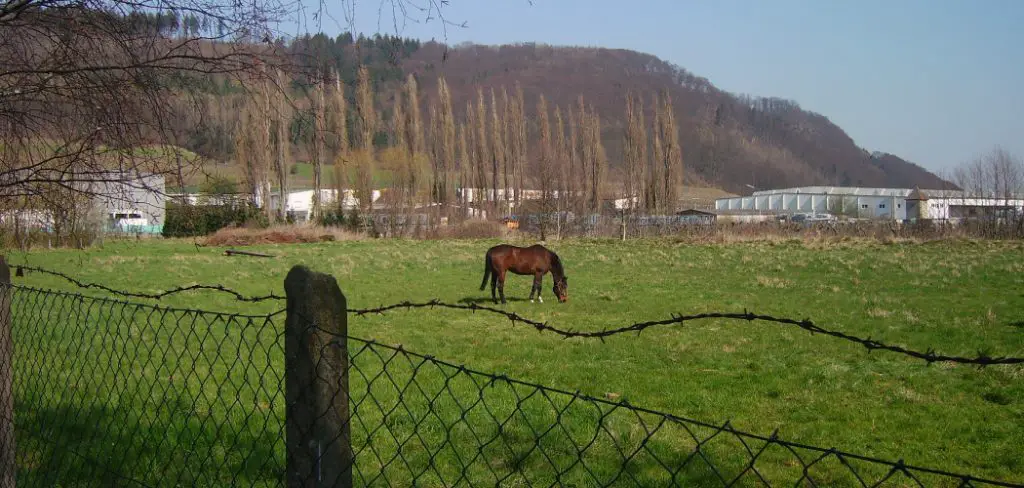 How to Install No Climb Horse Fence