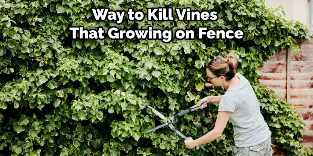 way to kill vines that are growing on your fence