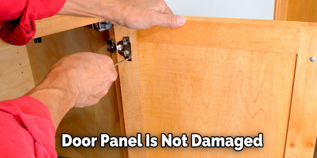 Door Panel Is Not Damaged