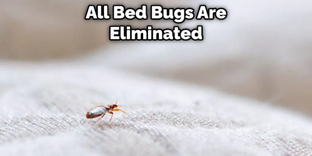 All Bed Bugs Are Eliminated