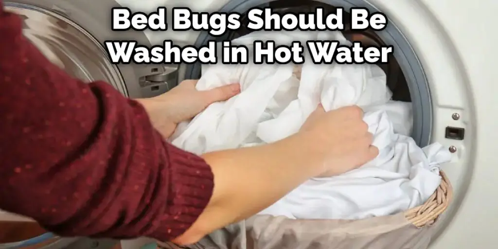 Bed Bugs Should Be Washed in Hot Water