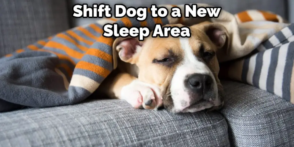Shift Dog to a New Sleep Area