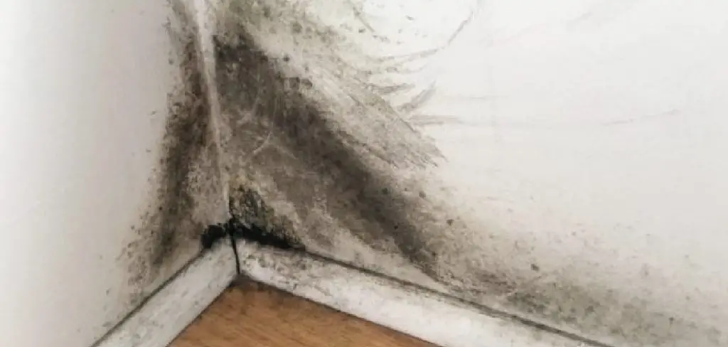 How to Dispose of Drywall With Black Mold