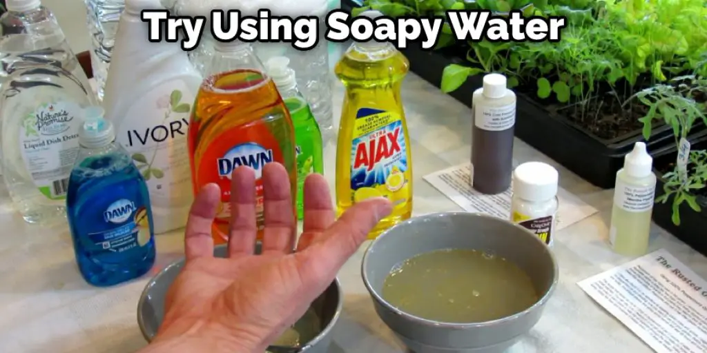 Try Using Soapy Water