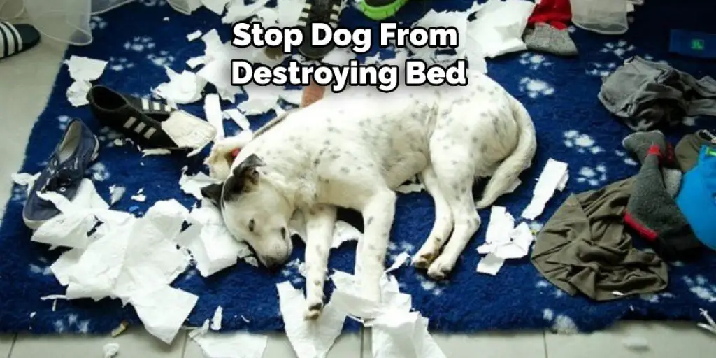 Stop Dog From  Destroying Bed