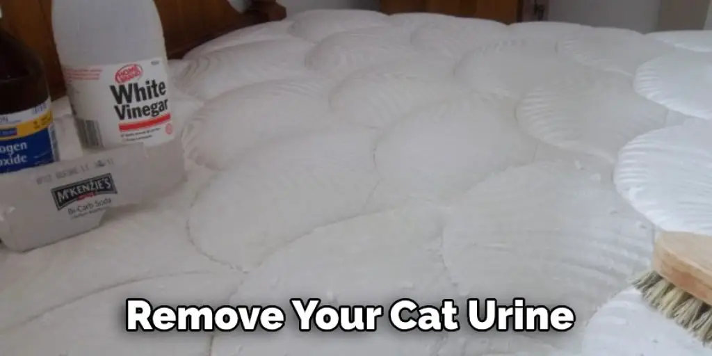 Remove Your Cat Urine 