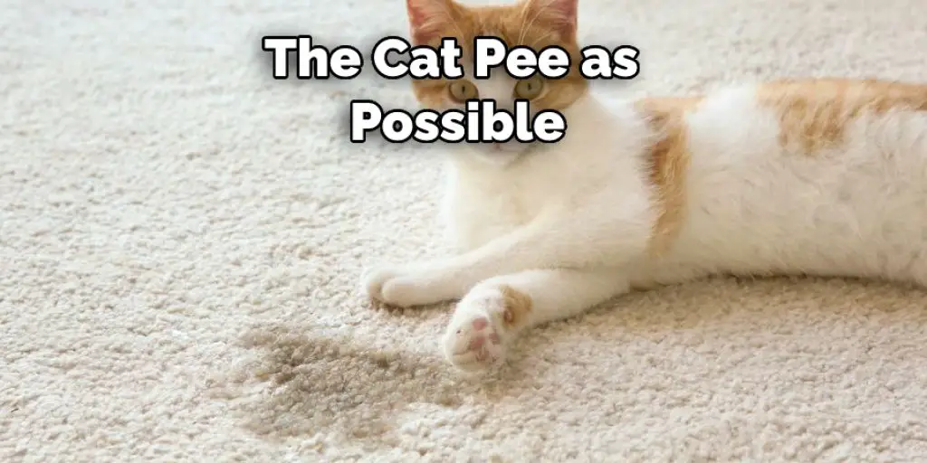 The Cat Pee as Possible