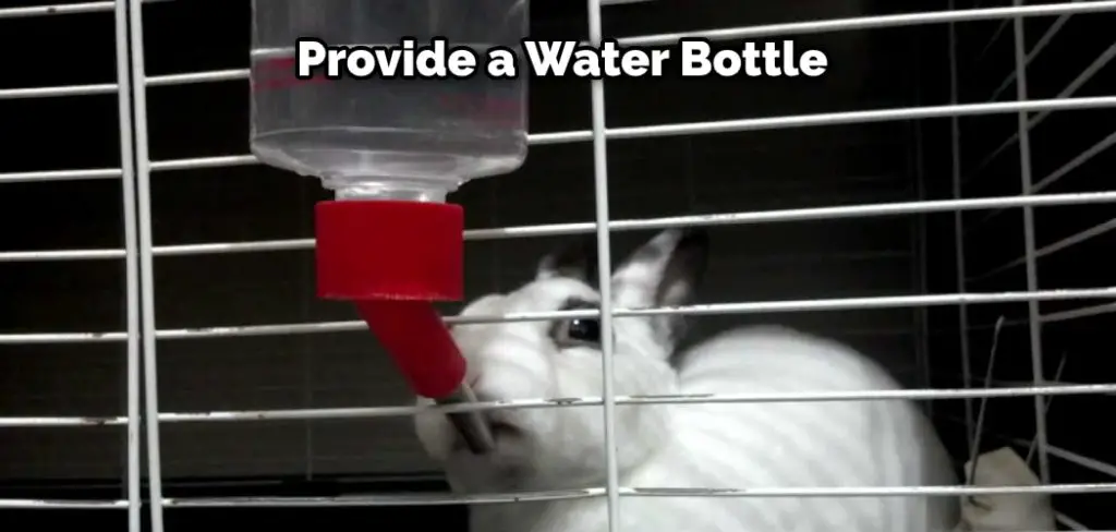 Provide a Water Bottle